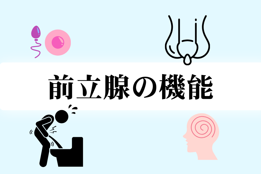前立腺 検査