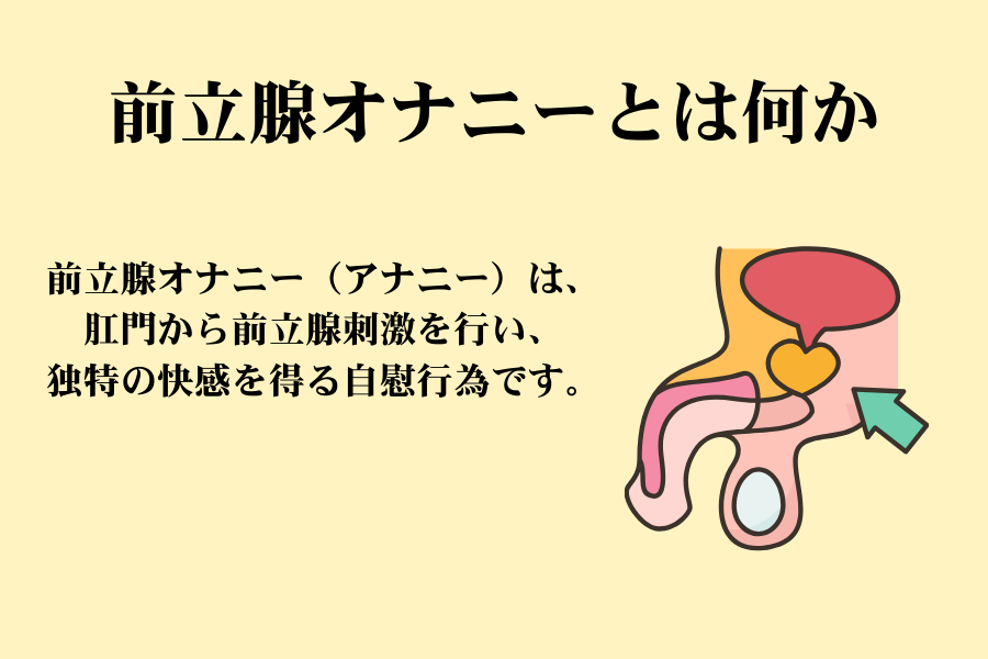 前立腺 開発