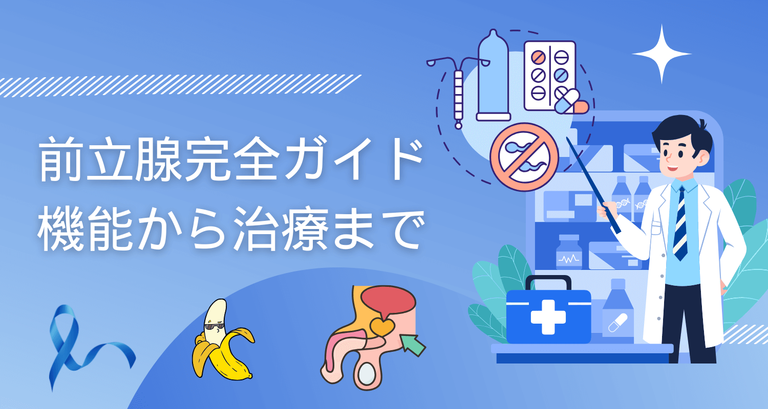 【医師監修】前立腺とは何か――機能・病気・検査と最新治療｜男性の健康を守る完全ガイド