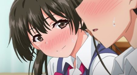 エッチアニメ(えっちあにめ)とは