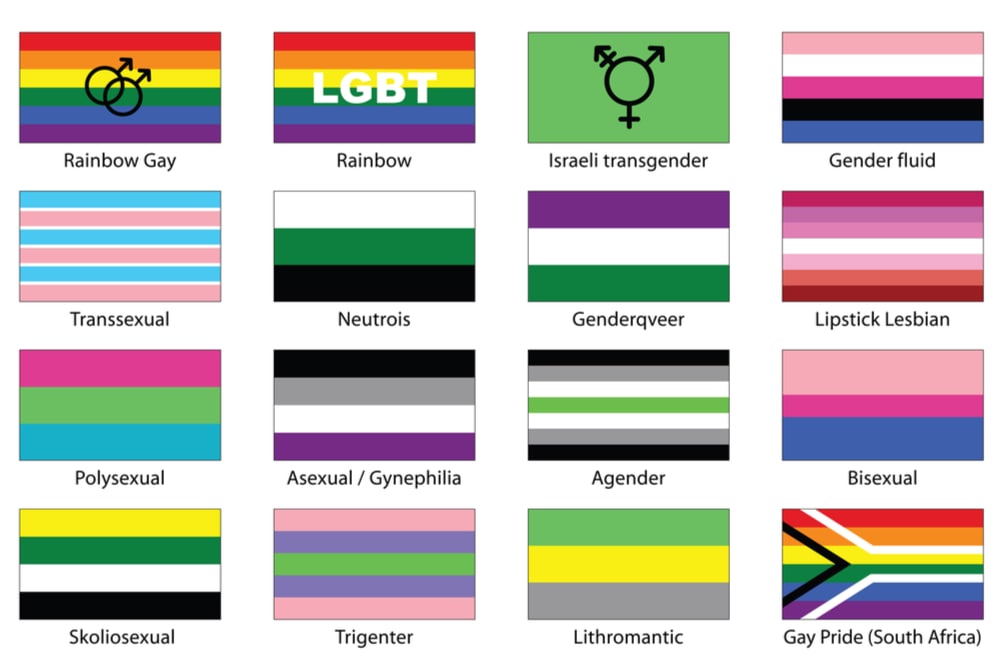 LGBTQ+（えるじーびーてぃーきゅーぷらす）とは