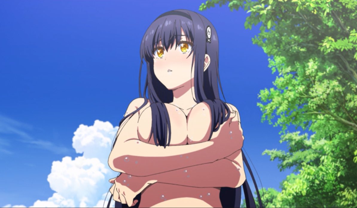 おっぱいアニメ（おっぱいあにめ）とは