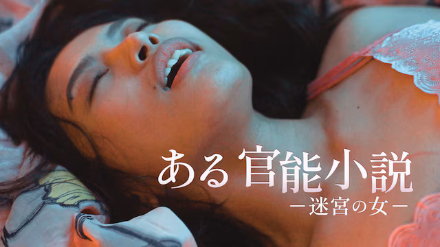 エロティック小説（えろてぃっくしょうせつ）とは