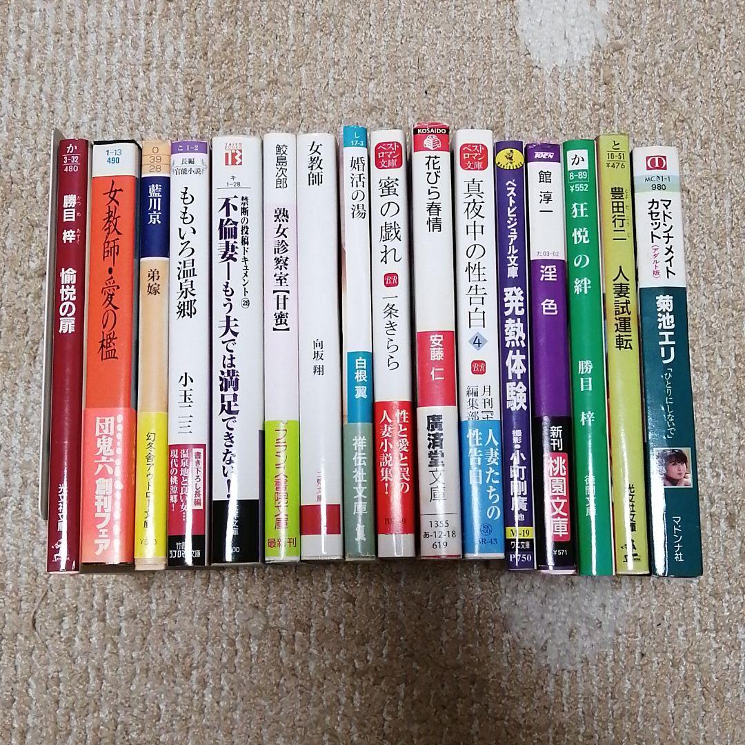 エロ小説（えろしょうせつ）とは