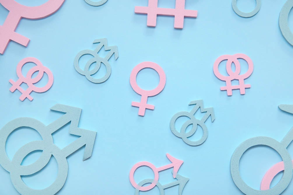 ジェンダーノーマティブ（じぇんだーのーまてぃぶ）とは