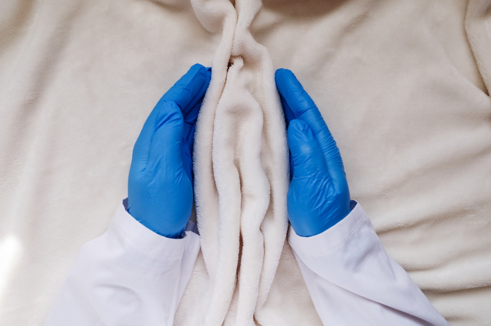 女性器官（じょせいきかん）とは