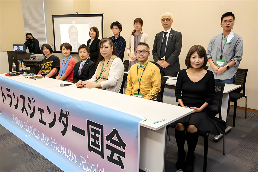 トランスジェンダー法（とらんすじぇんだーほう）とは